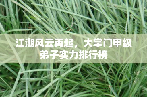 大掌门甲级弟子实力排行榜图片