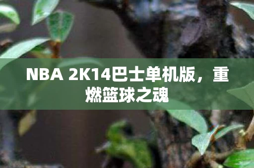 NBA 2K14巴士单机版图片