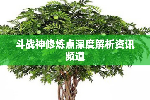 斗战神修炼点深度解析资讯频道图片