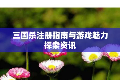 三国杀注册指南与游戏魅力探索资讯图片