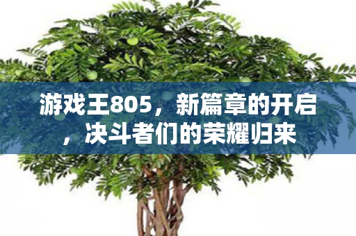 决斗者们的荣耀归来图片