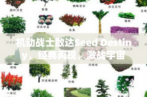 机动战士敢达Seed Destiny图片