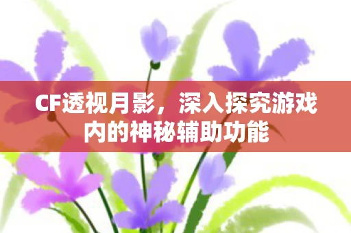 深入探究游戏内的神秘辅助功能图片