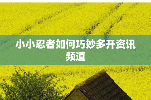 小小忍者如何巧妙多开资讯频道图片