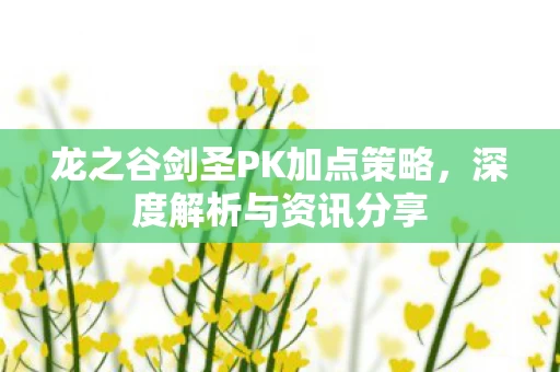 龙之谷剑圣PK加点策略图片