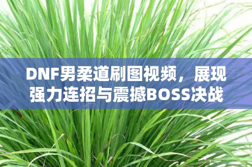 展现强力连招与震撼BOSS决战瞬间图片