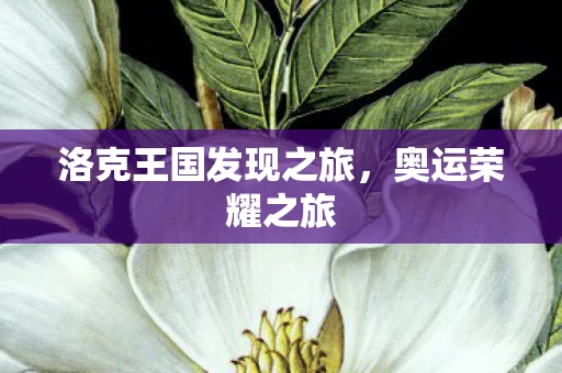 洛克王国发现之旅图片