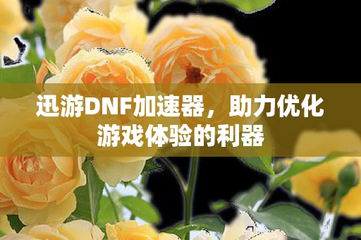 助力优化游戏体验的利器图片