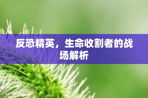 生命收割者的战场解析图片
