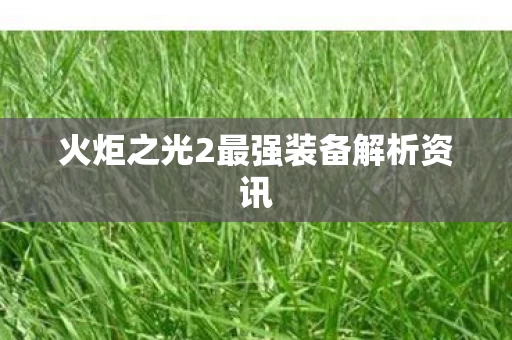 火炬之光2最强装备解析资讯图片