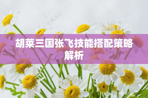 胡莱三国张飞技能搭配策略解析图片