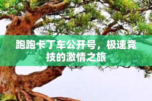 极速竞技的激情之旅图片