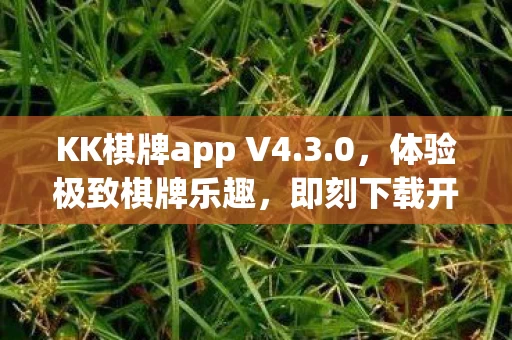 KK棋牌app V4图片