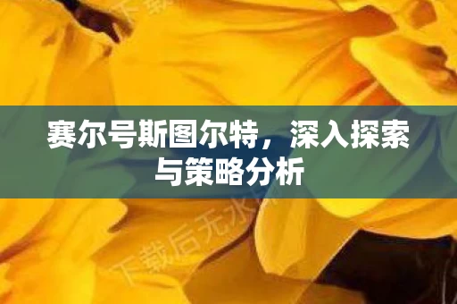 深入探索与策略分析图片