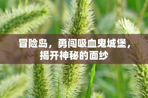 勇闯吸血鬼城堡图片