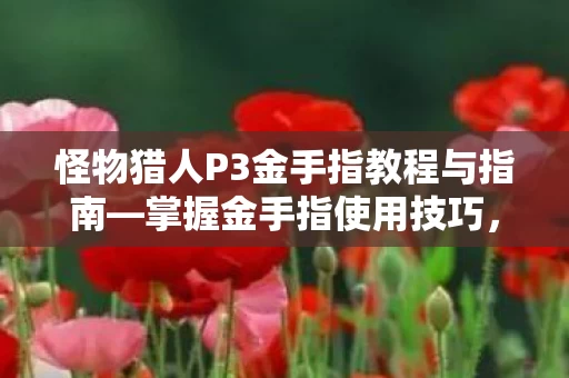 怪物猎人P3金手指教程与指南图片