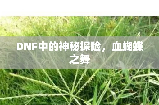 DNF中的神秘探险图片