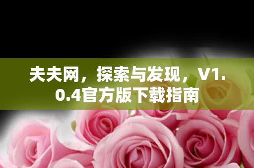 4官方版下载指南图片