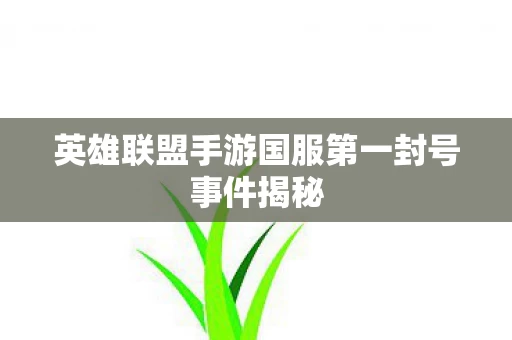 英雄联盟手游国服第一封号事件揭秘图片