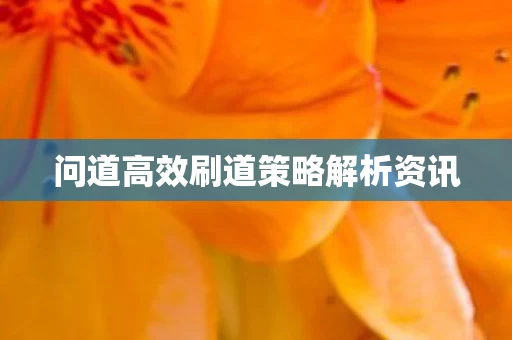问道高效刷道策略解析资讯图片