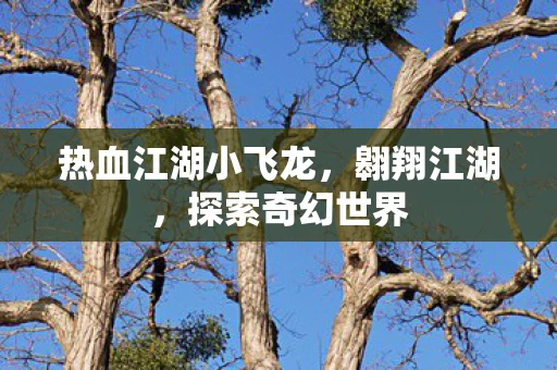 热血江湖小飞龙图片