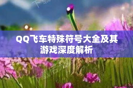 QQ飞车特殊符号大全及其游戏深度解析图片