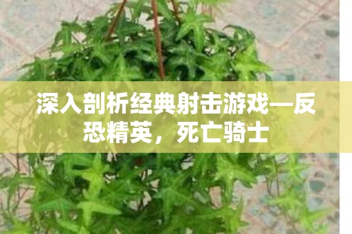 深入剖析经典射击游戏图片