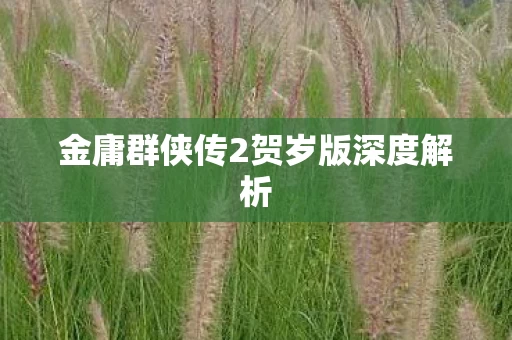 金庸群侠传2贺岁版深度解析图片