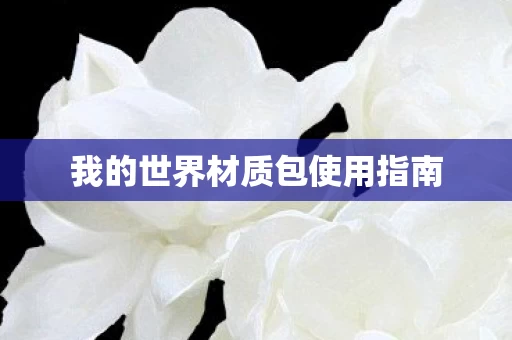 我的世界材质包使用指南图片