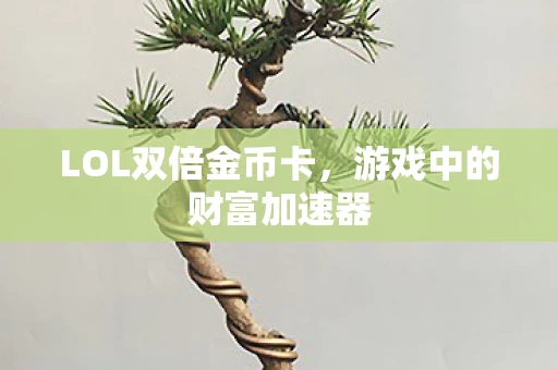 游戏中的财富加速器图片
