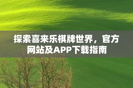 官方网站及APP下载指南图片