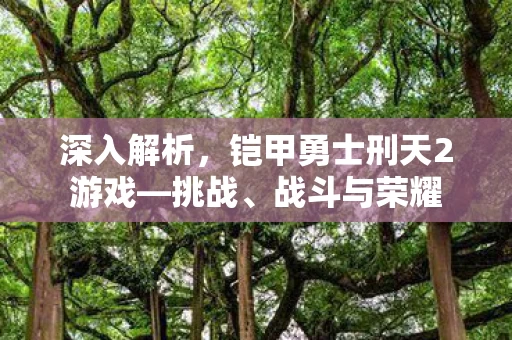 铠甲勇士刑天2游戏图片