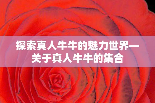 探索真人牛牛的魅力世界图片