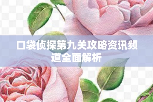 口袋侦探第九关攻略资讯频道全面解析图片