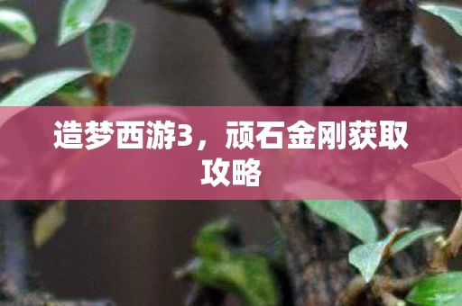 顽石金刚获取攻略图片