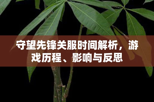守望先锋关服时间解析图片