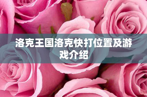 洛克王国洛克快打位置及游戏介绍图片