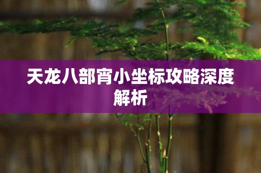 天龙八部宵小坐标攻略深度解析图片