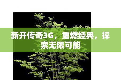 新开传奇3G图片
