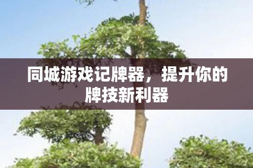 提升你的牌技新利器图片