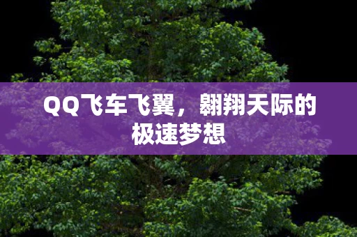 翱翔天际的极速梦想图片