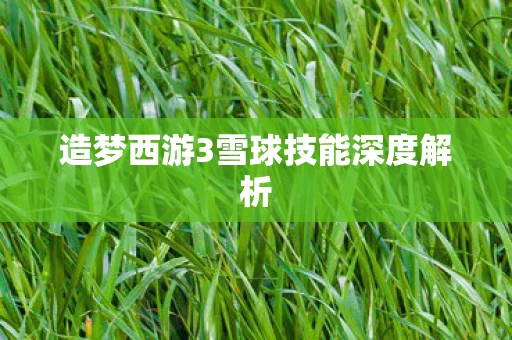 造梦西游3雪球技能深度解析图片
