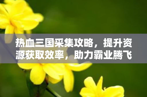 热血三国采集攻略图片