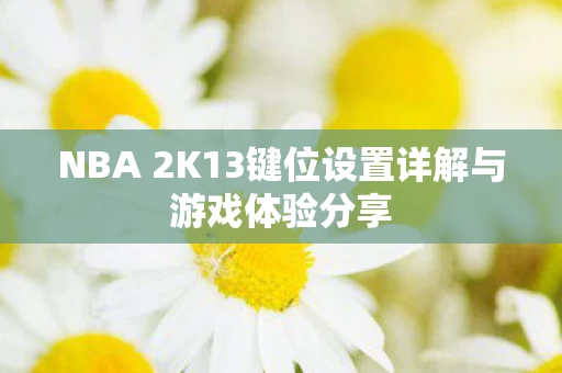 NBA 2K13键位设置详解与游戏体验分享图片