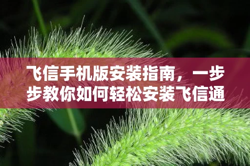 一步步教你如何轻松安装飞信通讯软件图片