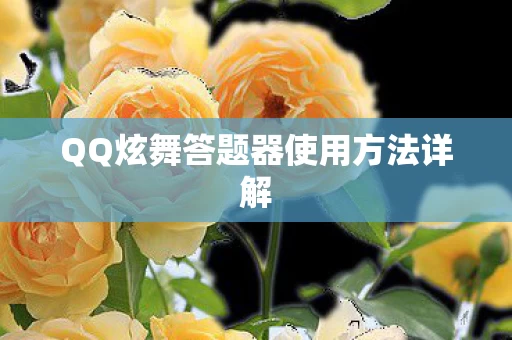 QQ炫舞答题器使用方法详解图片