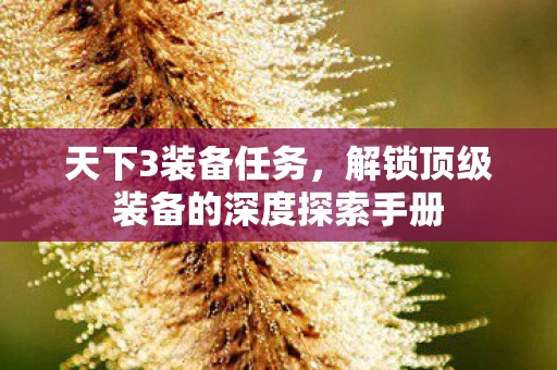 解锁顶级装备的深度探索手册图片