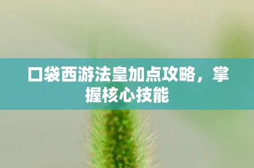 口袋西游法皇加点攻略图片