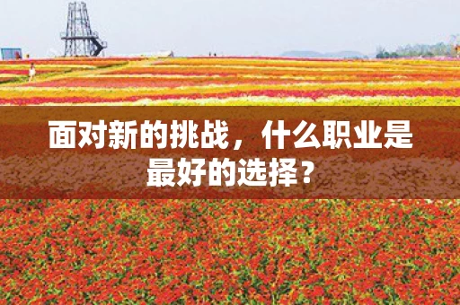 什么职业是最好的选择图片
