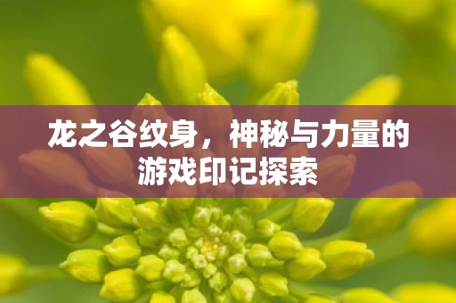 神秘与力量的游戏印记探索图片
